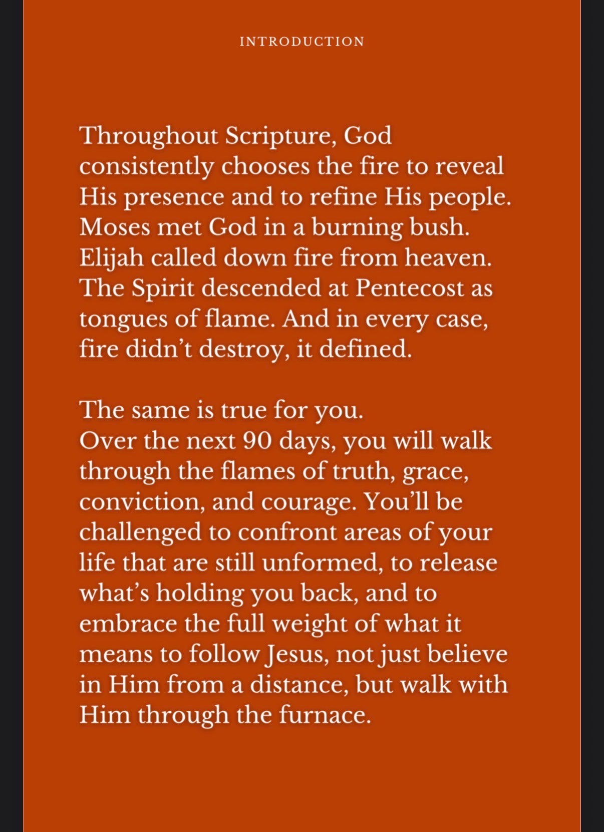 Forged In Fire: 90 Days Toward A Life Formed In Christ